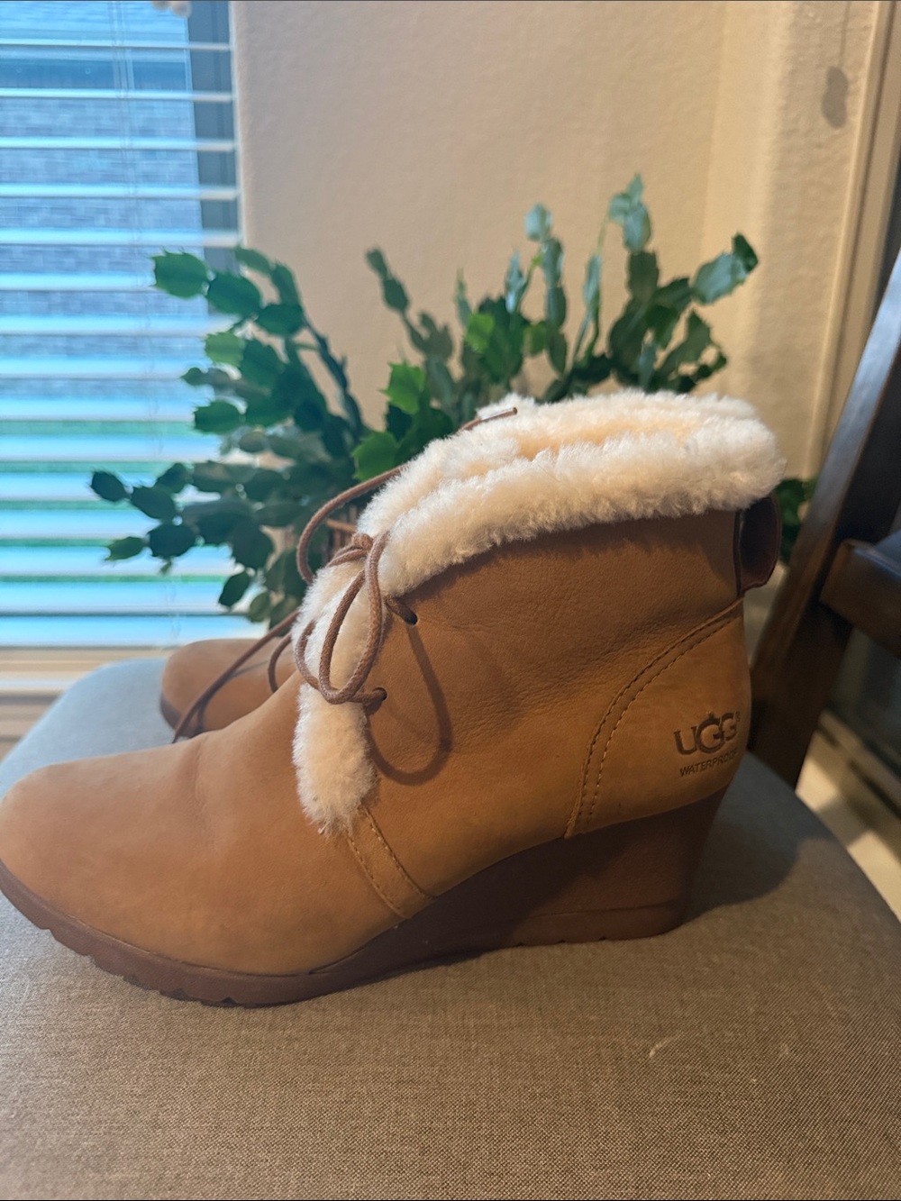 UGG Chestnut Wedge Booties with Cream Shearling Cuff